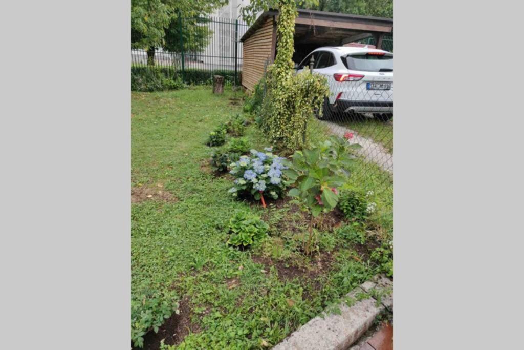 Hortensia Vakantiehuis